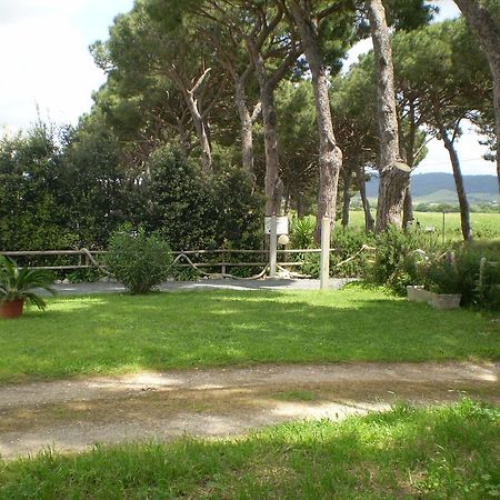 Agriturismo Ternova Alberese Exterior foto